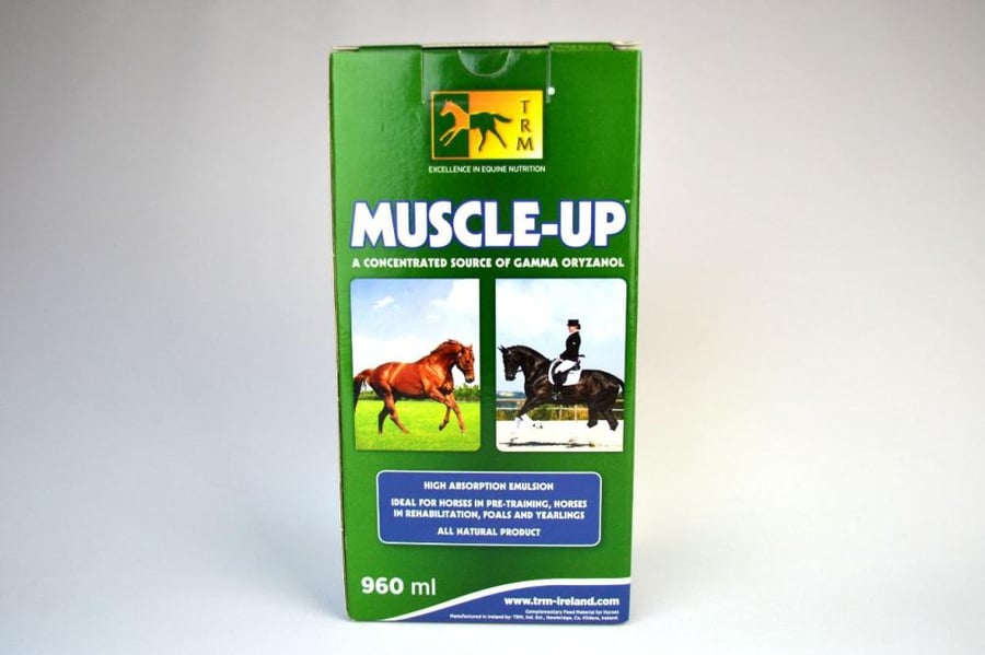 MUSCLE-UP
