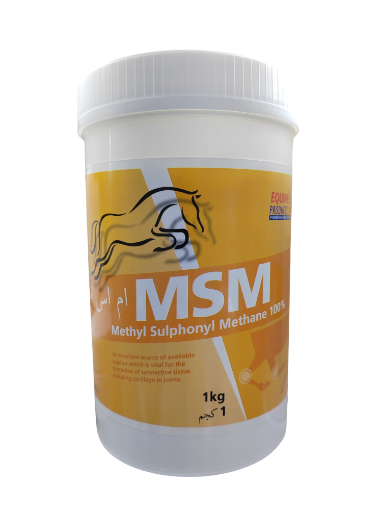 ام اس ام. MSM