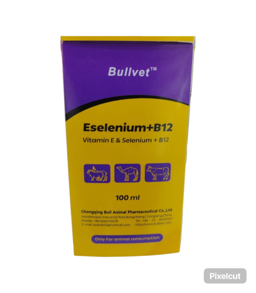 ESELENIUM+B12