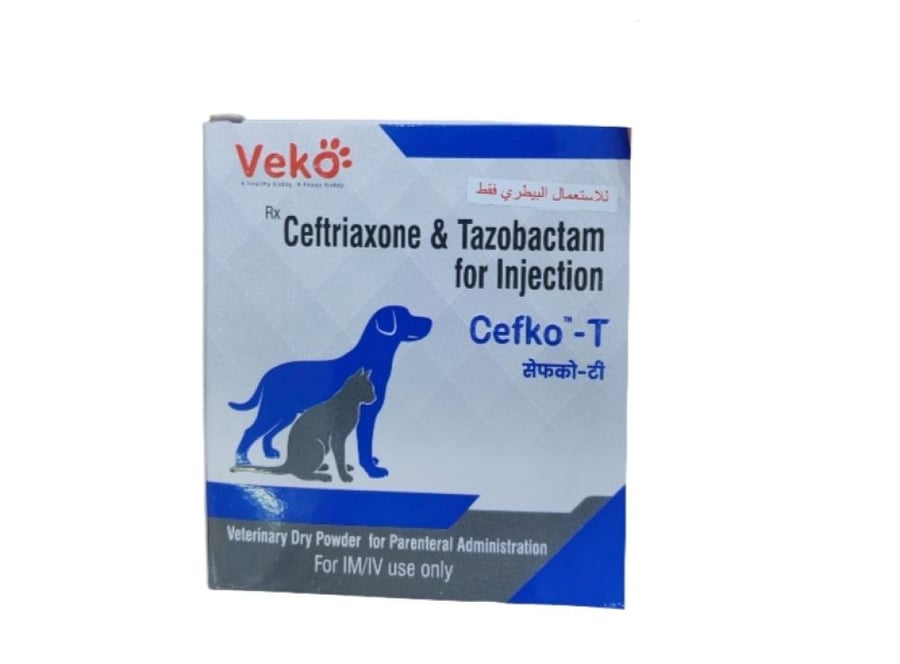 كيفكو ت. CEFKO-T