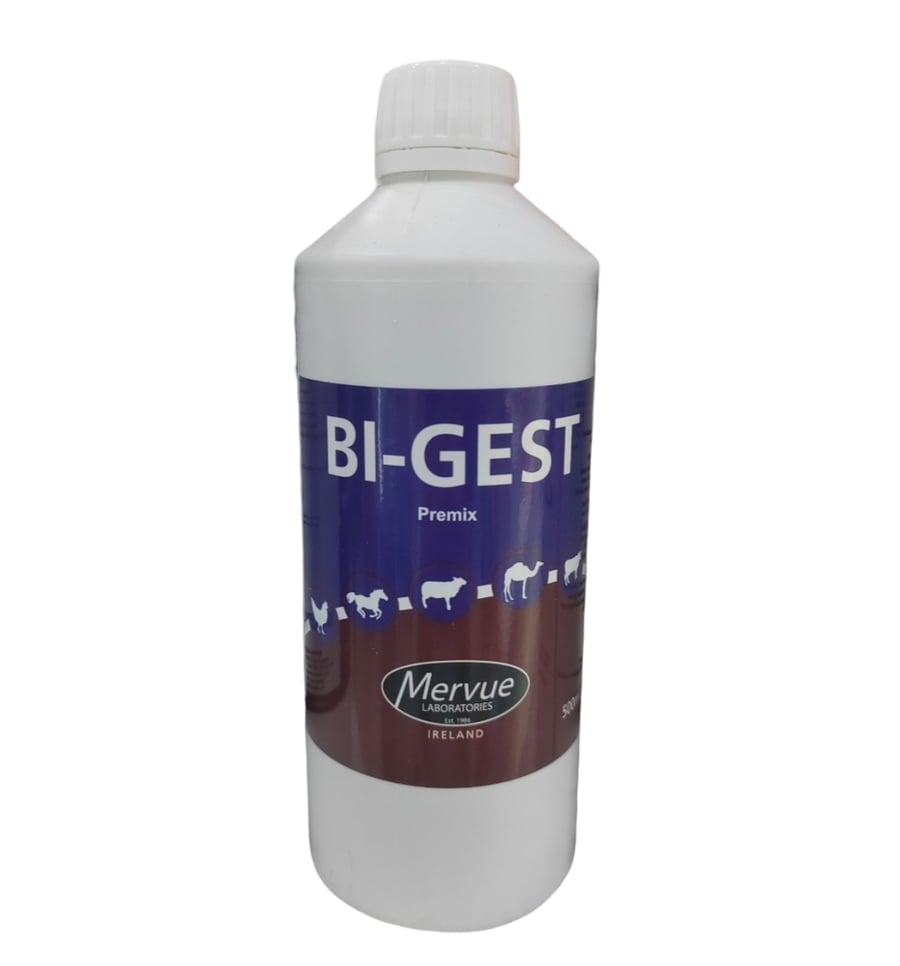 BI GEST 500ML