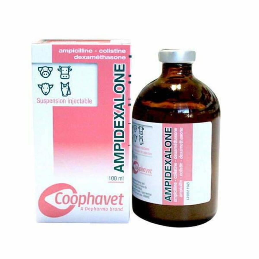 امبي ديكسالون. AMPIDEXALONE