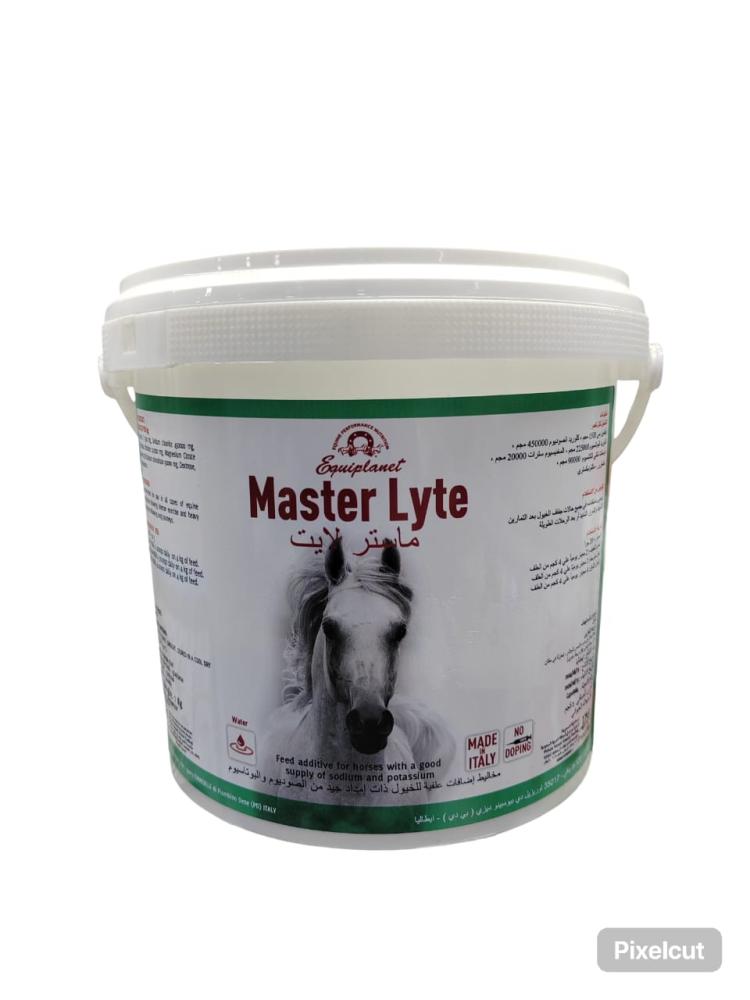 MASTER LYTE 1KG ماستر لايت
