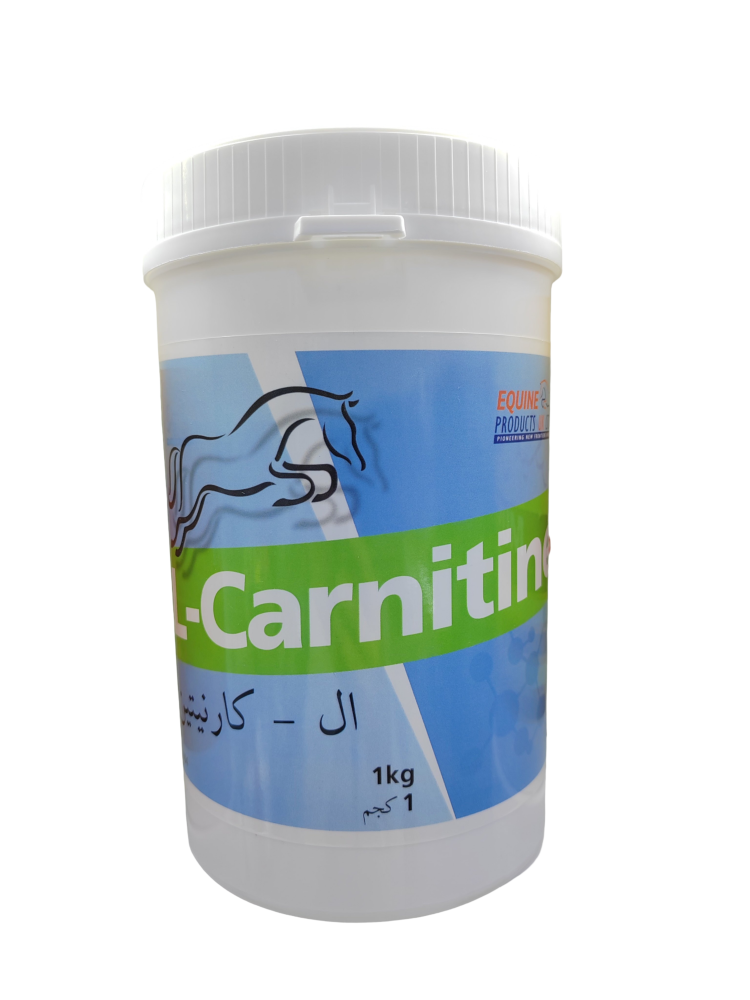 ال كارنتين. L-carnitine