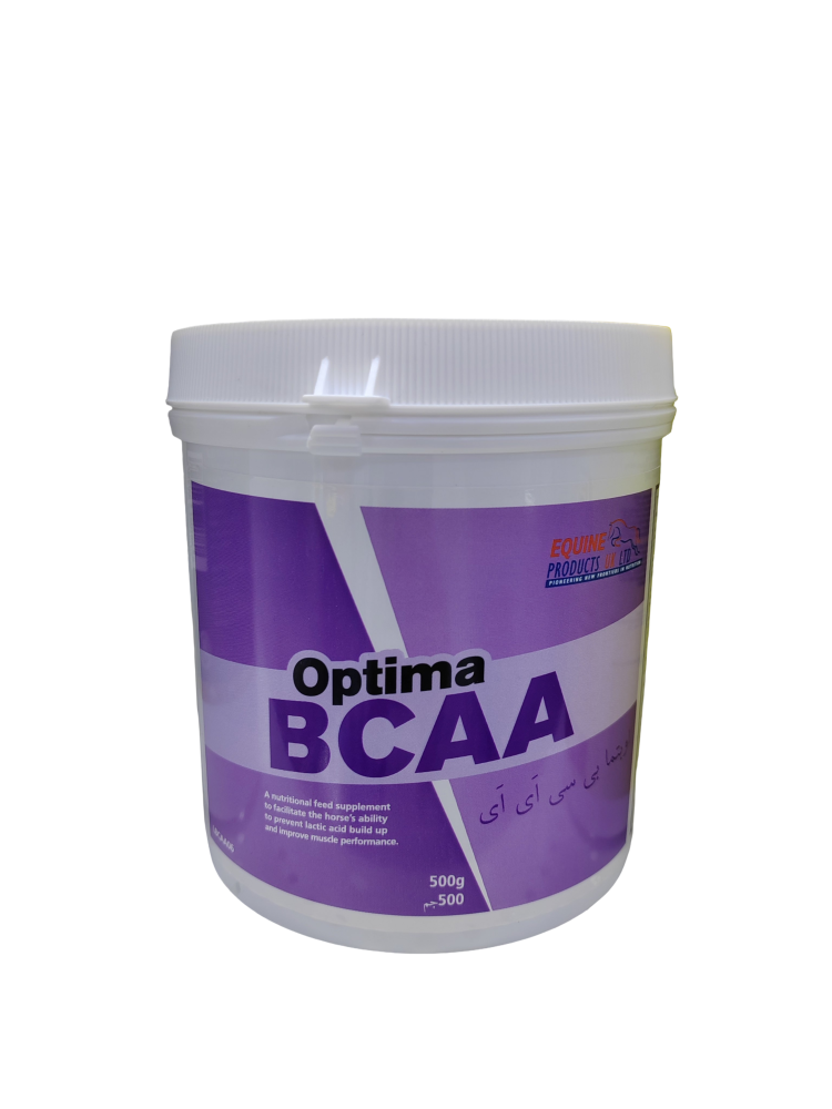 بي سي ا ا. BCAA