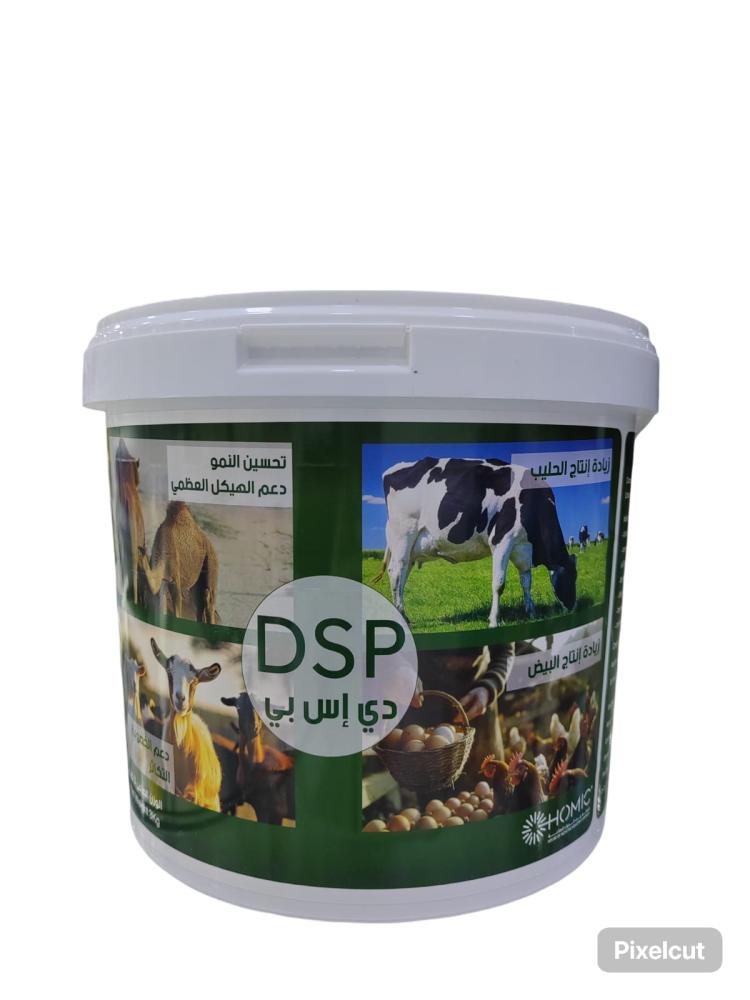 دي اس بي, DSP 3KG