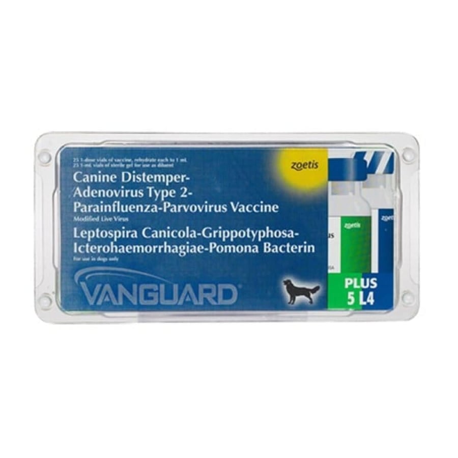 The pentavalent vaccination for dogs