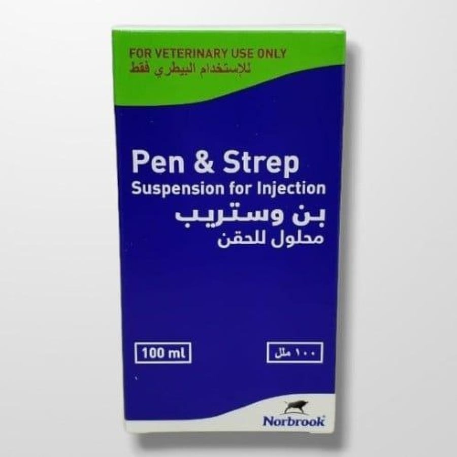 PEN & STREP 100ML