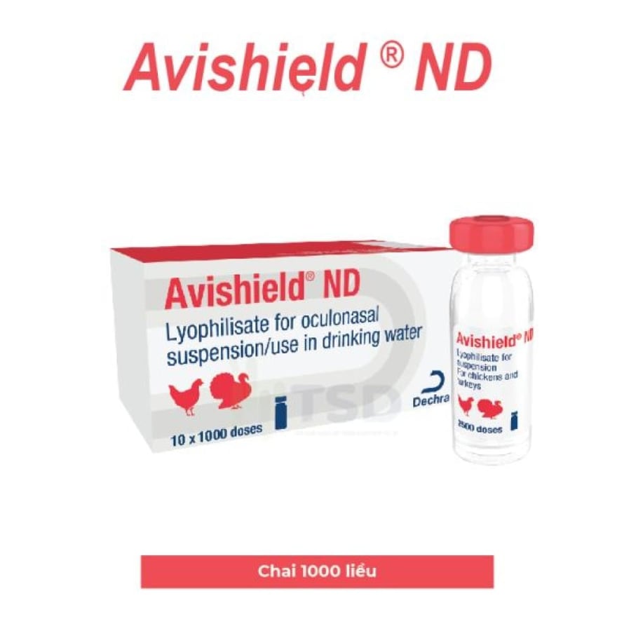 Newcastle vaccination