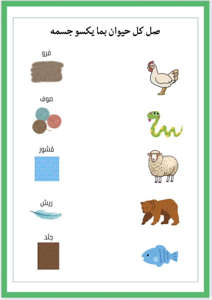 أنشطة وحدة الحيوانات