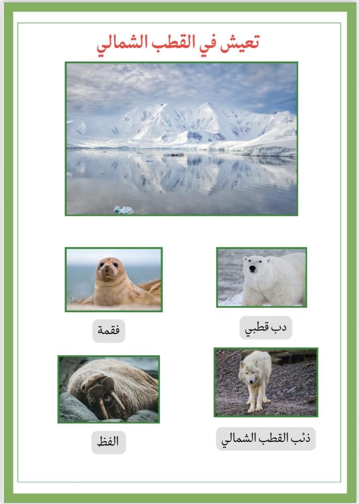 أنشطة وحدة الحيوانات
