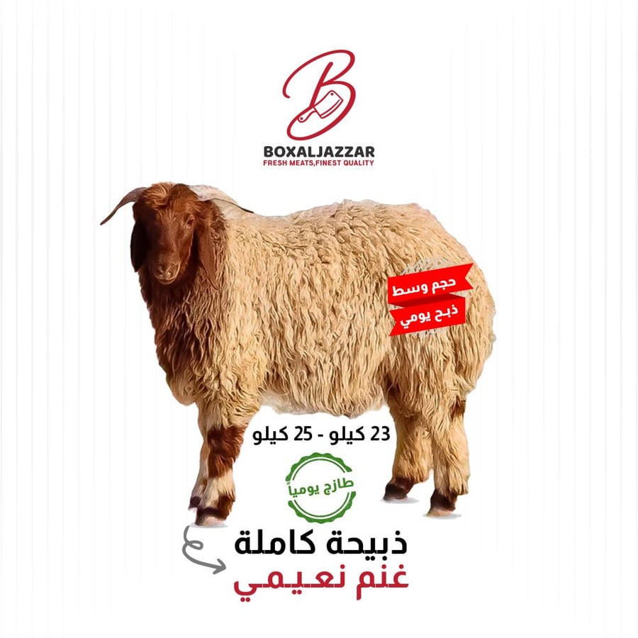ذبيحة كاملة غنم نعيمي وسط