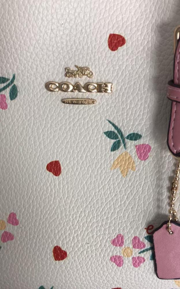 كوتش مولي 25cm