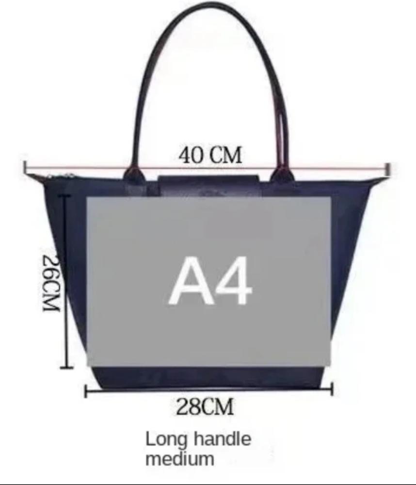 Long Champ Purple