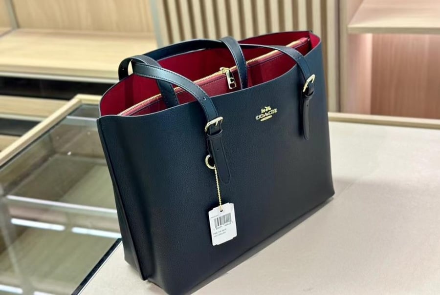 Coach mollie tote 34