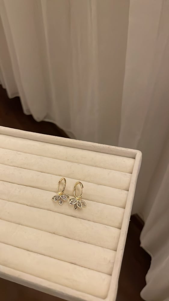 حلق فراشه