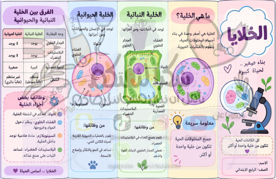 مطوية علوم الخلايا صف رابع