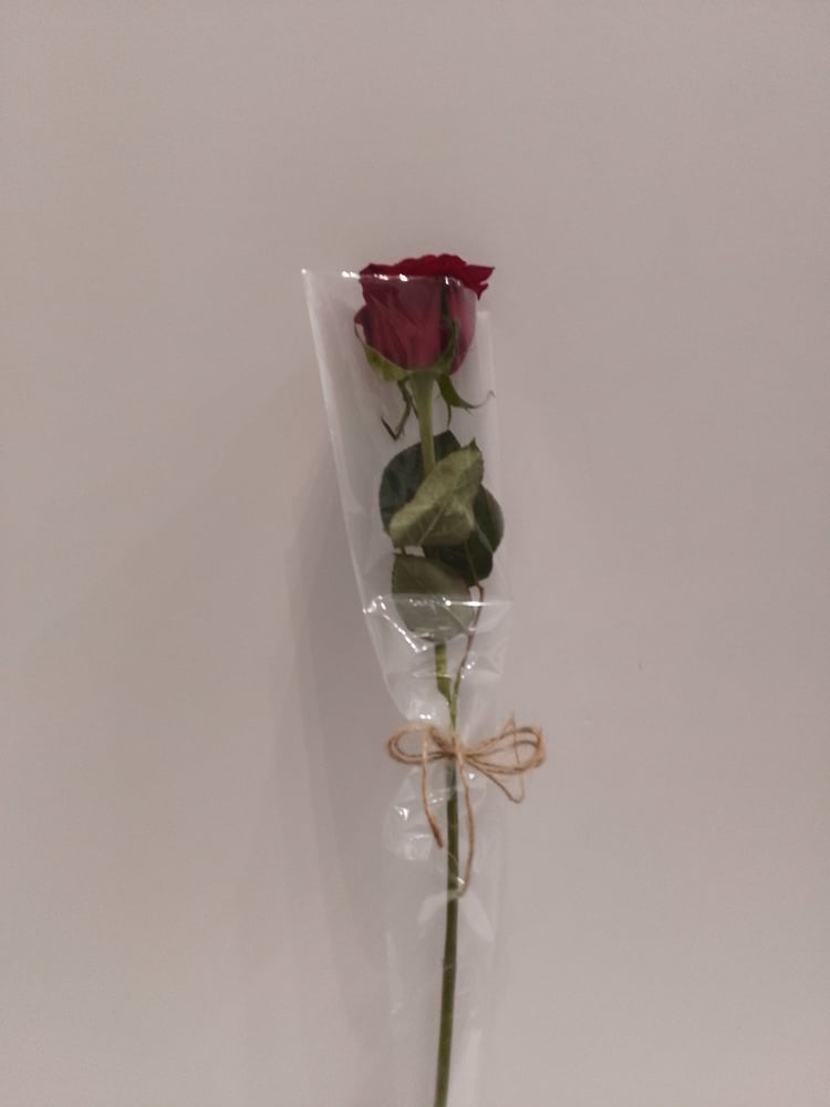 جوري احمر بتغليف خاص