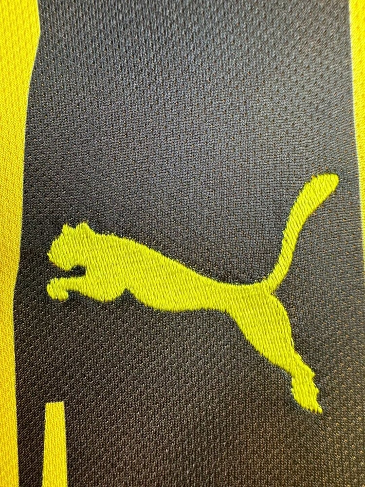 Borussia Dortmund first 2013
