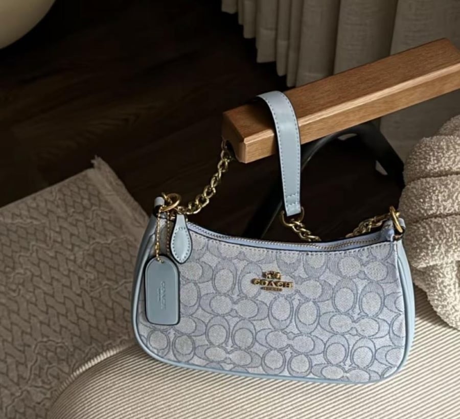 Summer sky coach bag