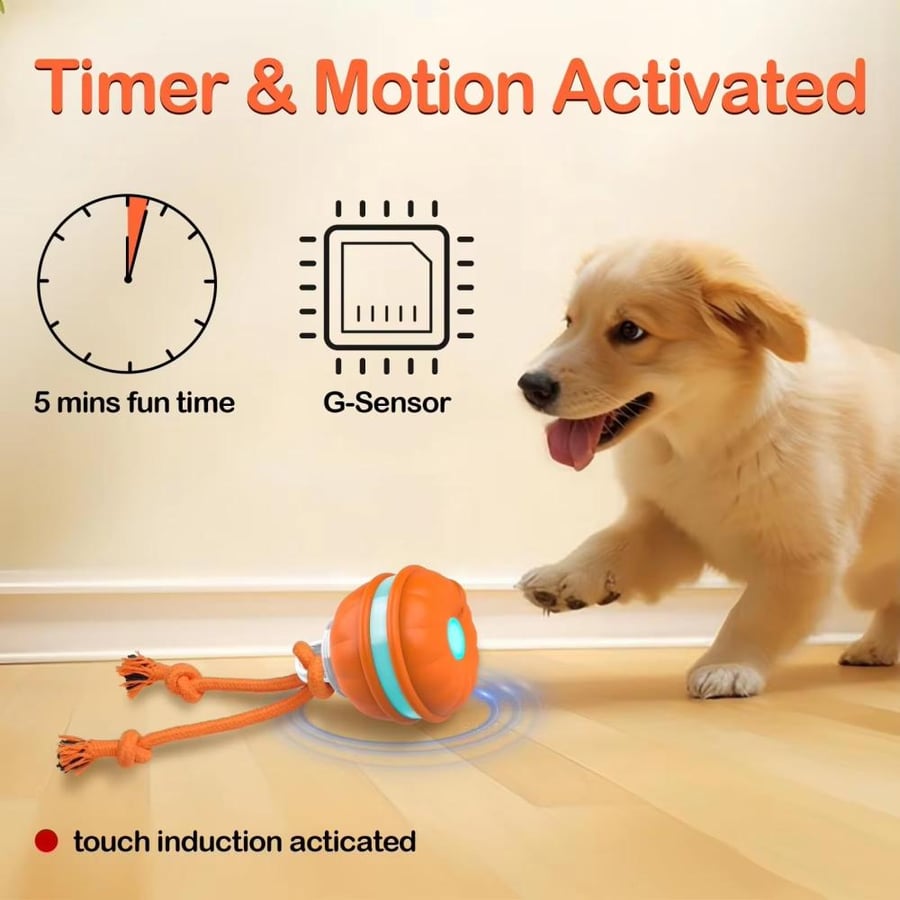 كرة لعبة للحيوانات-إصدار اصوت الطيور برتقاليPet toy ball - Bird chirping version