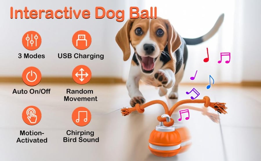 كرة لعبة للحيوانات-إصدار اصوت الطيور برتقاليPet toy ball - Bird chirping version