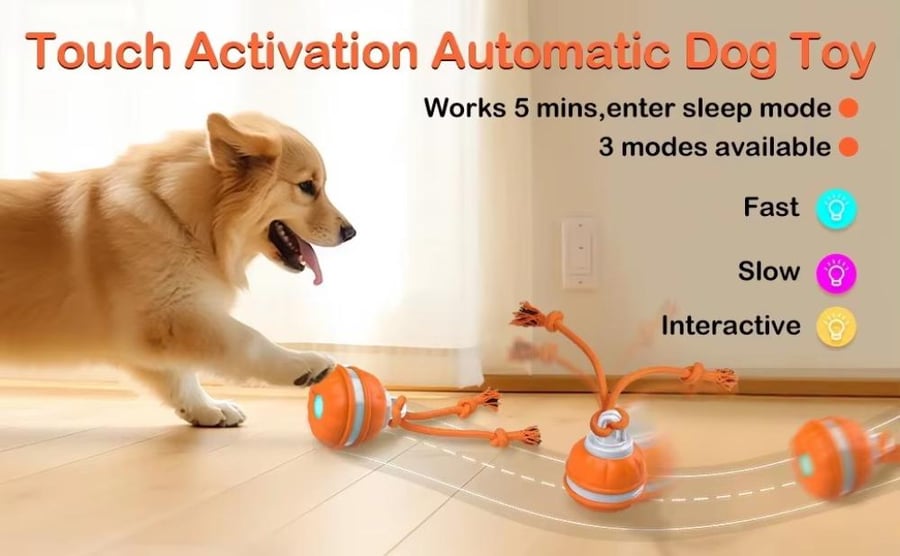 كرة لعبة للحيوانات-إصدار اصوت الطيور برتقاليPet toy ball - Bird chirping version