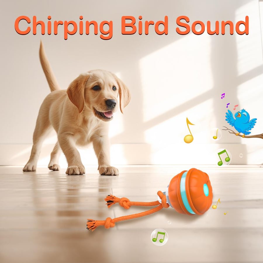 كرة لعبة للحيوانات-إصدار اصوت الطيور برتقاليPet toy ball - Bird chirping version