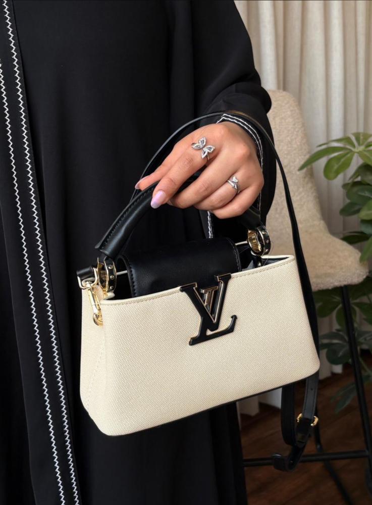 A bag inspired by LV