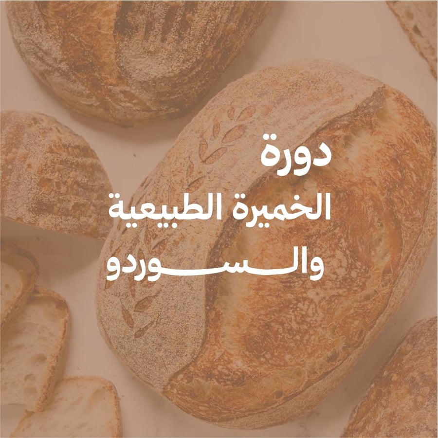 دورة الخميرة الطبيعية والساوردو