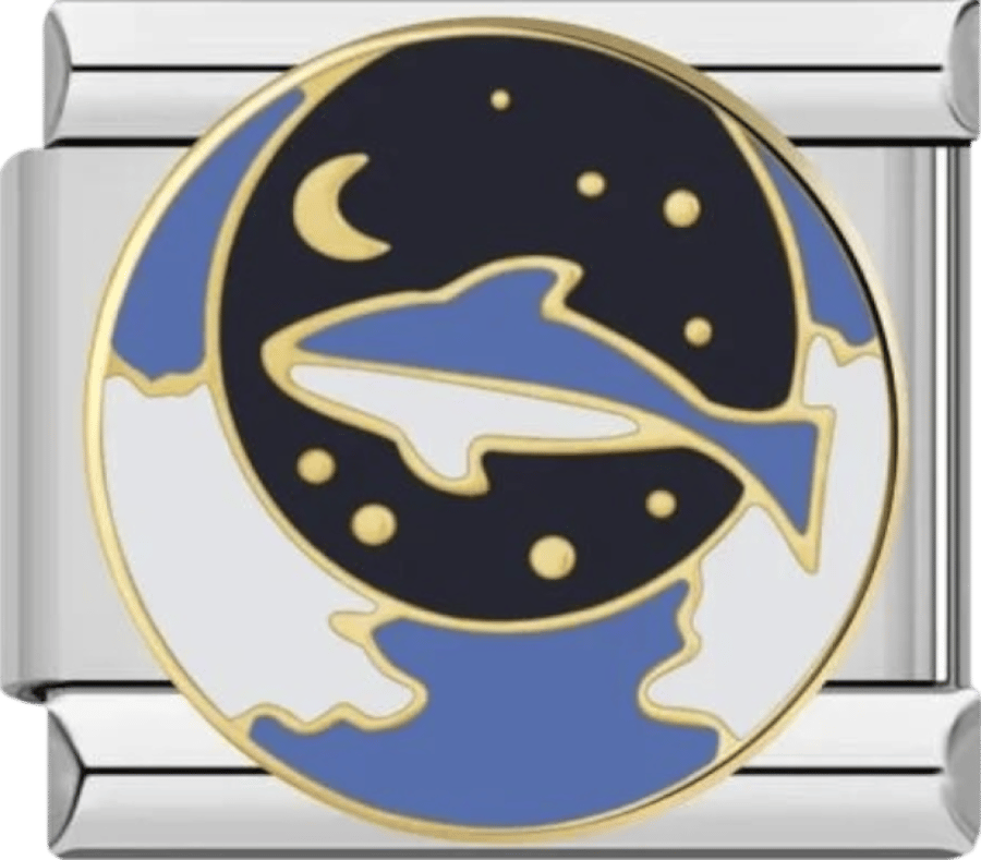 Silver Dolphin Charms Surrounded by Stars and Moon