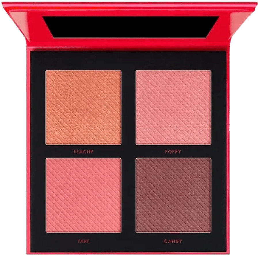 Cheek To Cheek Blush Palette 002