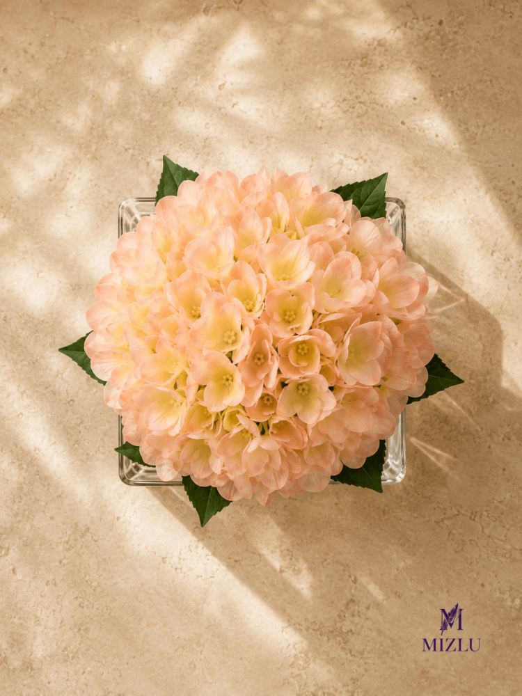 MIZLU Peach Hydrangea Cube