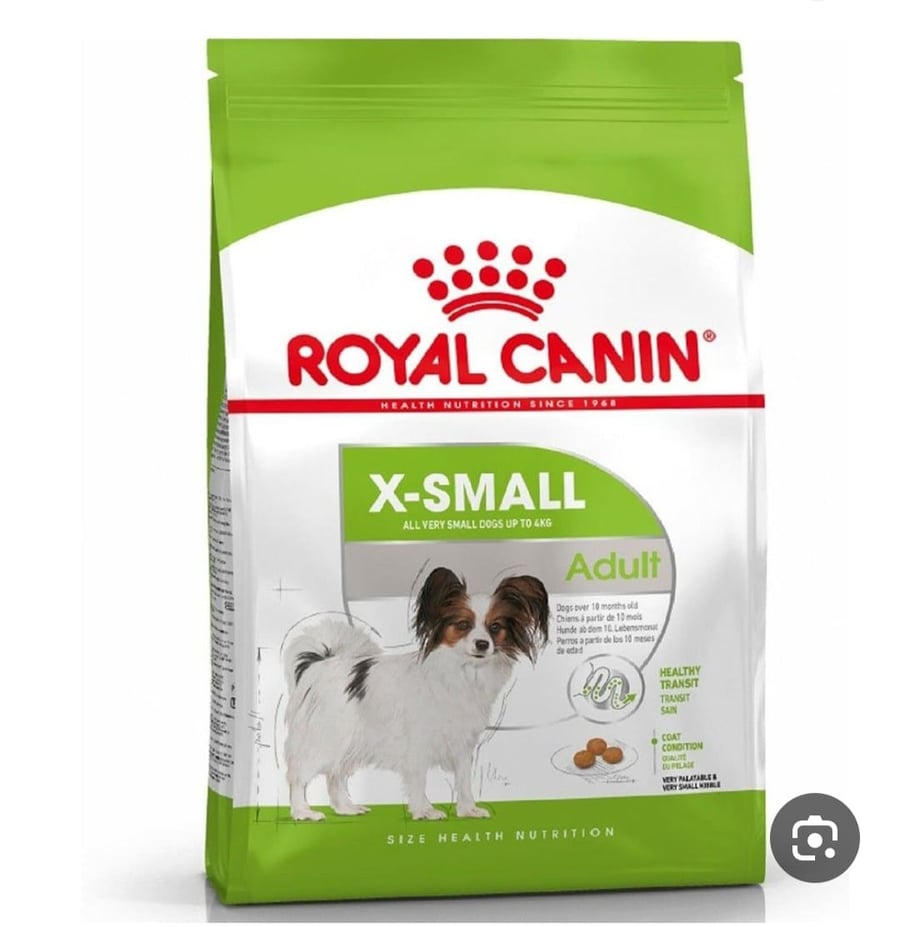 Royal X Small Adult