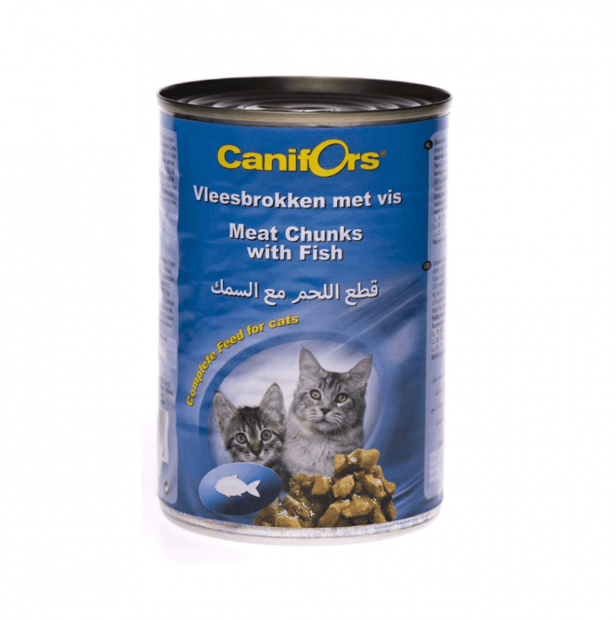 Cat canifers with fish