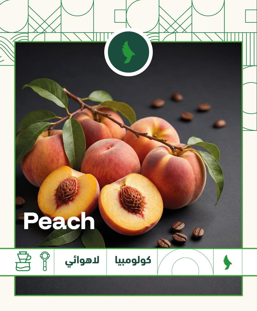 Horizon Box - بوكس الأفق