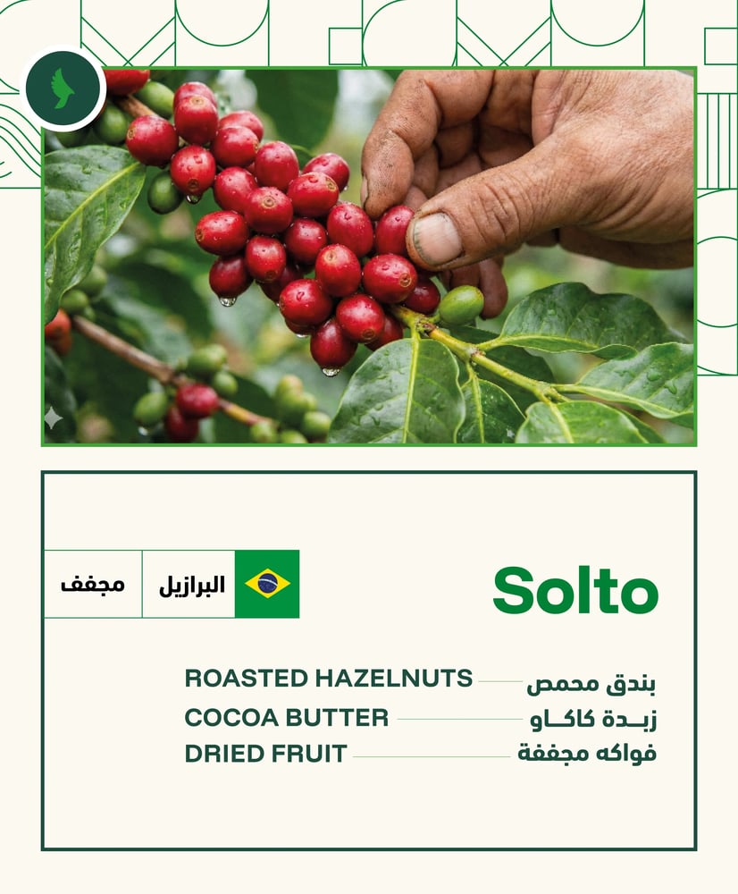 Solto - بن برازيلي من محمصة باوندلس