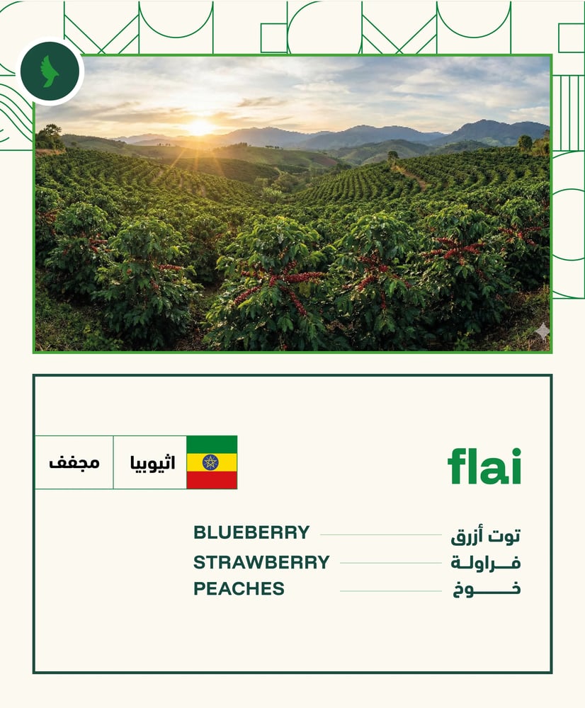 Flai - بن اثيوبي من محمصة باوندلس