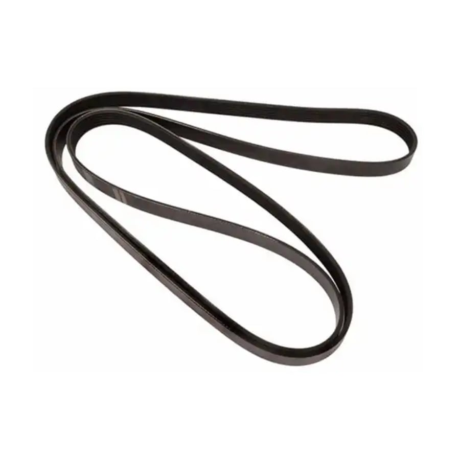 Serpentine Belt V6