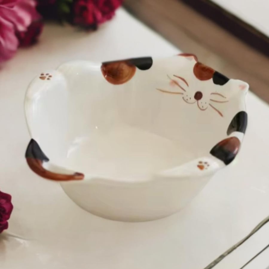 وعاء القط المرقع