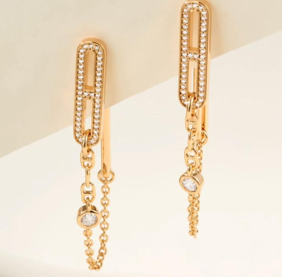 Earrings