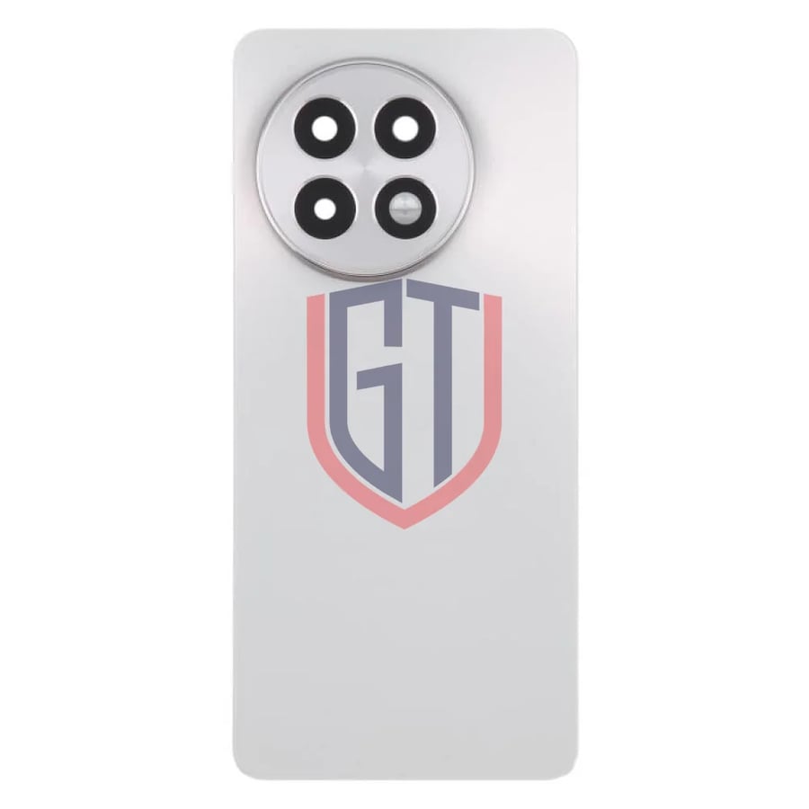 For OnePlus 13R CPH2645 CPH2691 CPH2647 Original Glass Battery Back Cover with Camera Lens(Matte Gray)