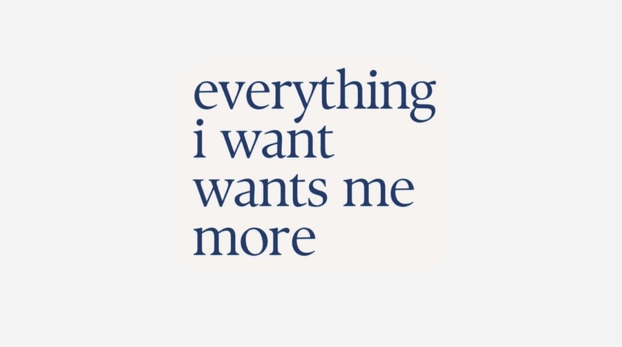 EVERYTHING I WANT IT WANT ME MORE