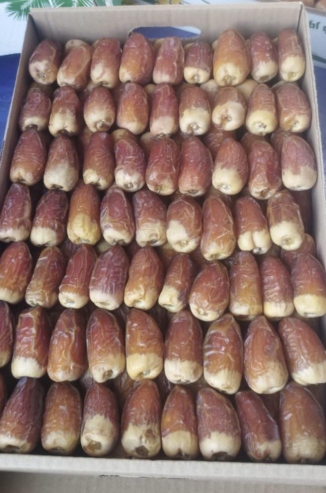صقعي فاخر احمر حبة كبير 3 كيلو