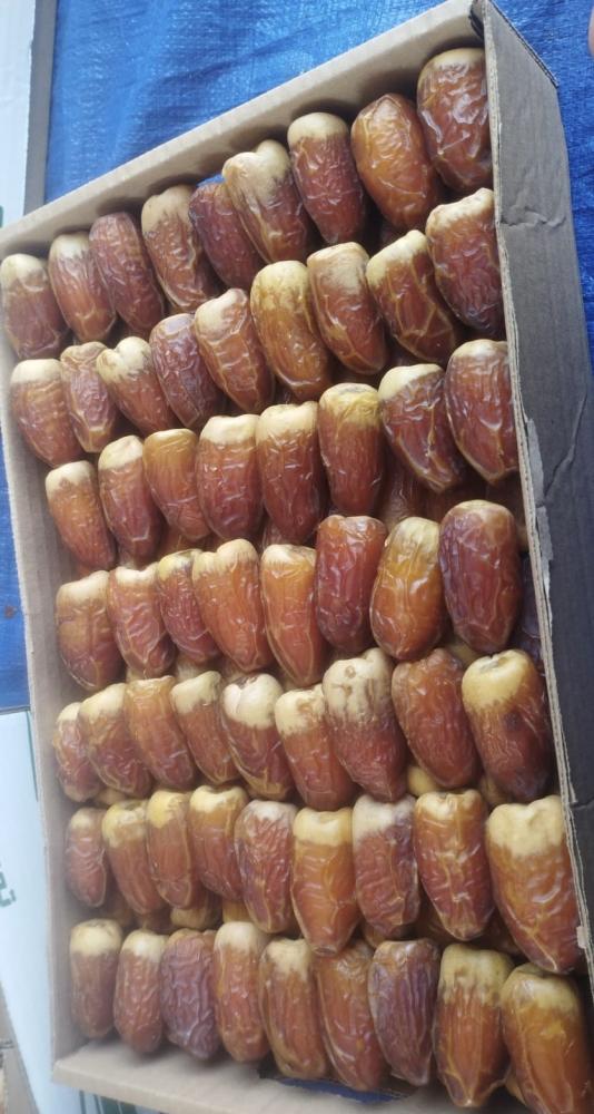 صقعي فاخر احمر حبة كبير 3 كيلو