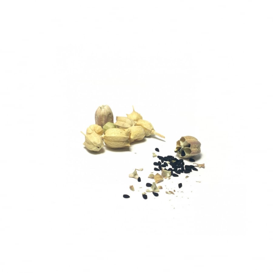 Black seed in its capsule organic - Al Rayana Farm