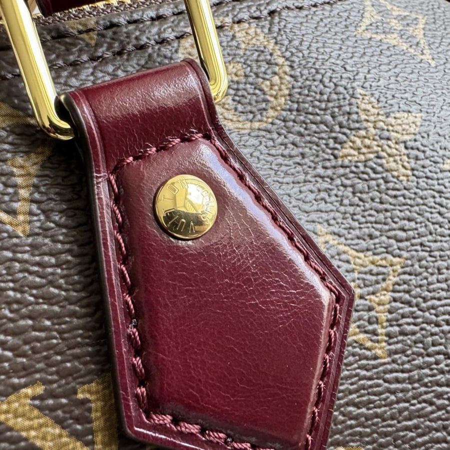 Louis Vuitton Speedy 30 Soft Celebration / حقيبة لويس فويتون سبيدي 30 سوفت سيليبريشن