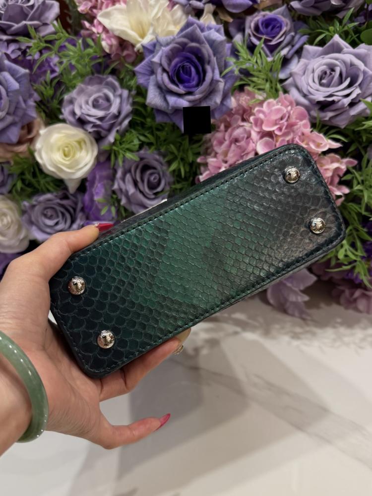 Louis Vuitton Capucines handbag / حقيبة يد لويس فيتون كابوسين من جلد الثعبان