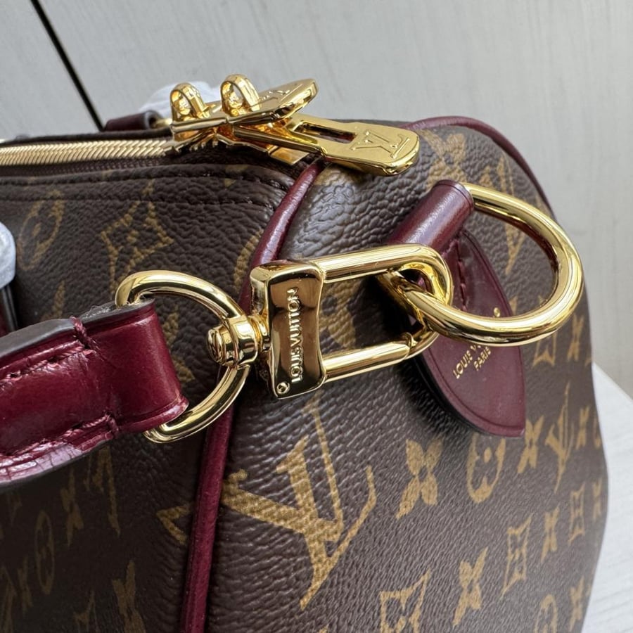 Louis Vuitton Speedy 30 Soft Celebration / حقيبة لويس فويتون سبيدي 30 سوفت سيليبريشن