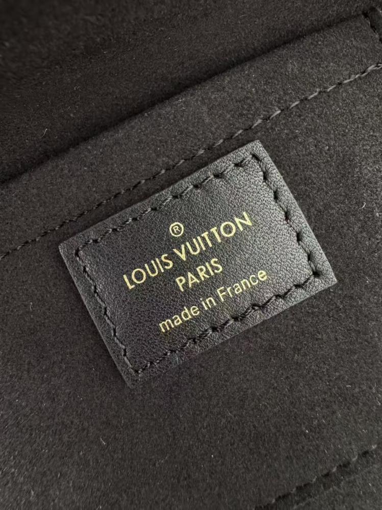 Louis Vuitton Camera Box Bag Monogram